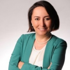 Sevgi Akarçeşme